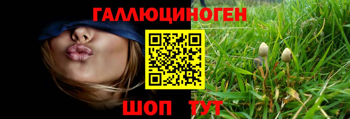 Галлюциногенные грибы мухоморы  Вход с VPN  Лабинск 